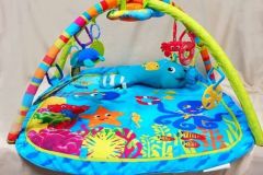 Baby Einstein Gym