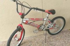 Boys_Schwinn